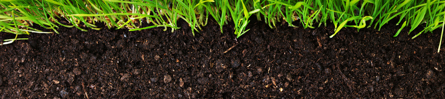 Organics & Soils Image